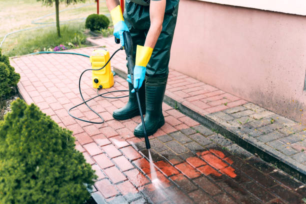 Best Animal Enclosure Cleaning  in Hominy, OK